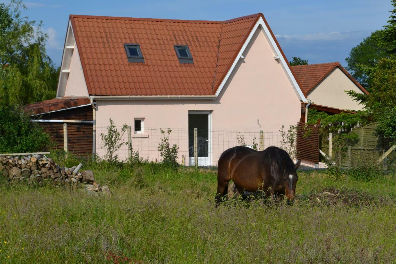 Le Paddock Des Caloges Villa Le Tilleul Kültér fotó